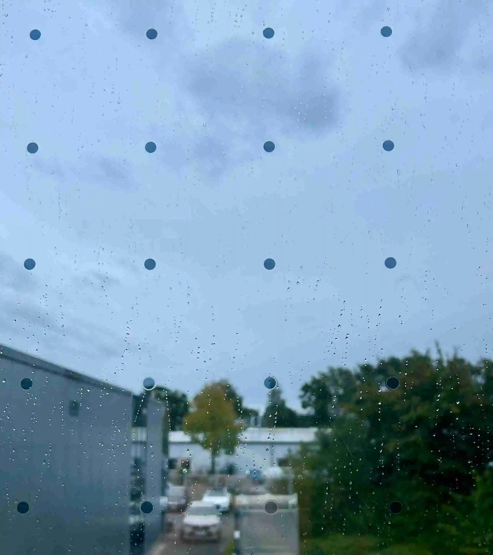 Haverkamp birdsafe® Vogelschutzfolie mit Punkten silber silber auf Scheibe vor bewölktem Himmel und Bäumen. 